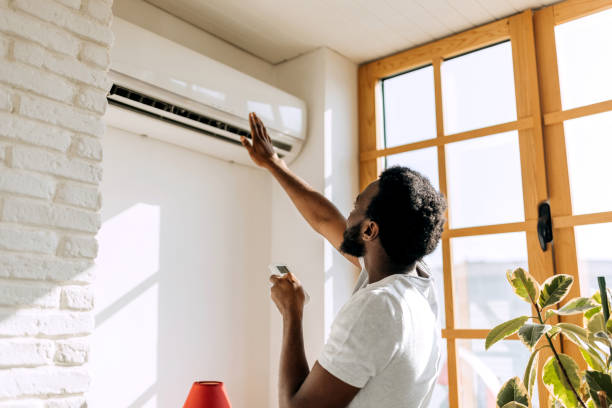 Best Best HVAC Companies  in Reese, MI